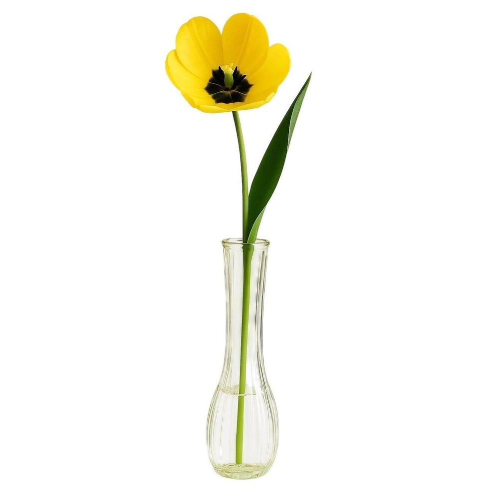 Vintage C.F.G. France Clear Ribbed Glass Bud Vase 8.5" Tall Pressed Glass‎